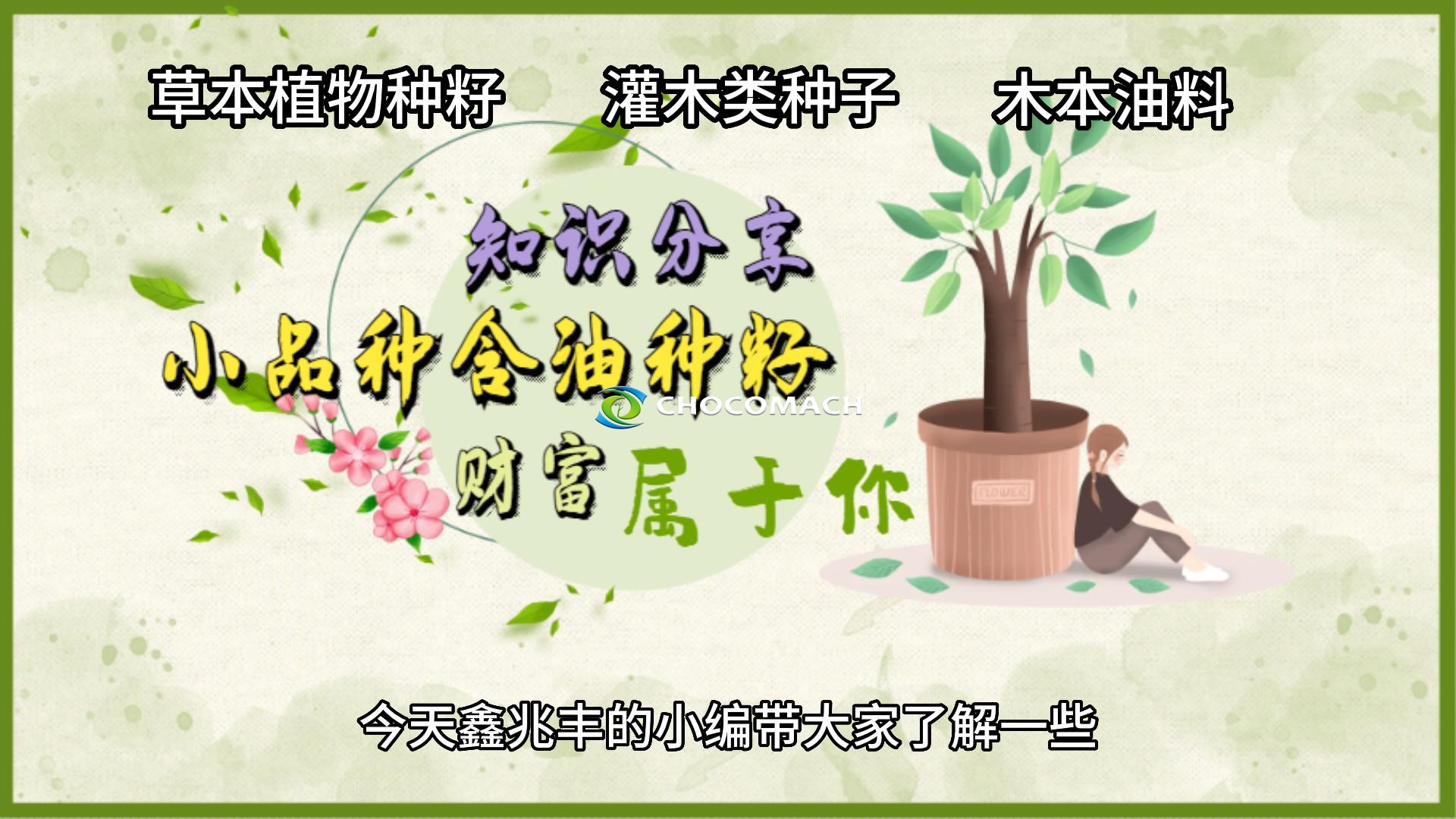 知識(shí)分享：小品種油料有哪些利用價(jià)值？液壓榨油機(jī)知識(shí)分享