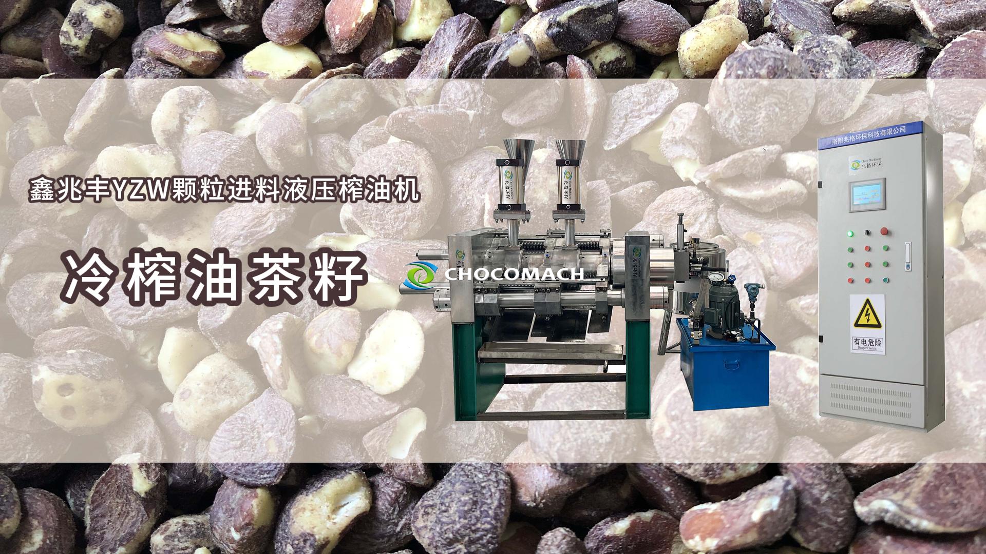 鑫兆豐全自動茶籽榨油機(jī)YZW/S冷榨茶籽油