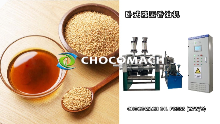 YZW全自動液壓芝麻香油榨油機(jī)