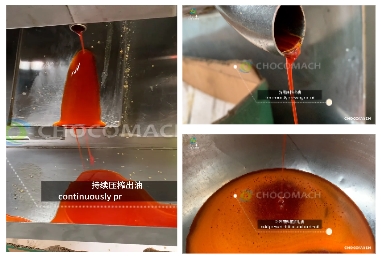 液壓榨油機，物理壓榨，品質(zhì)之選，助力辣椒加工提質(zhì)增效