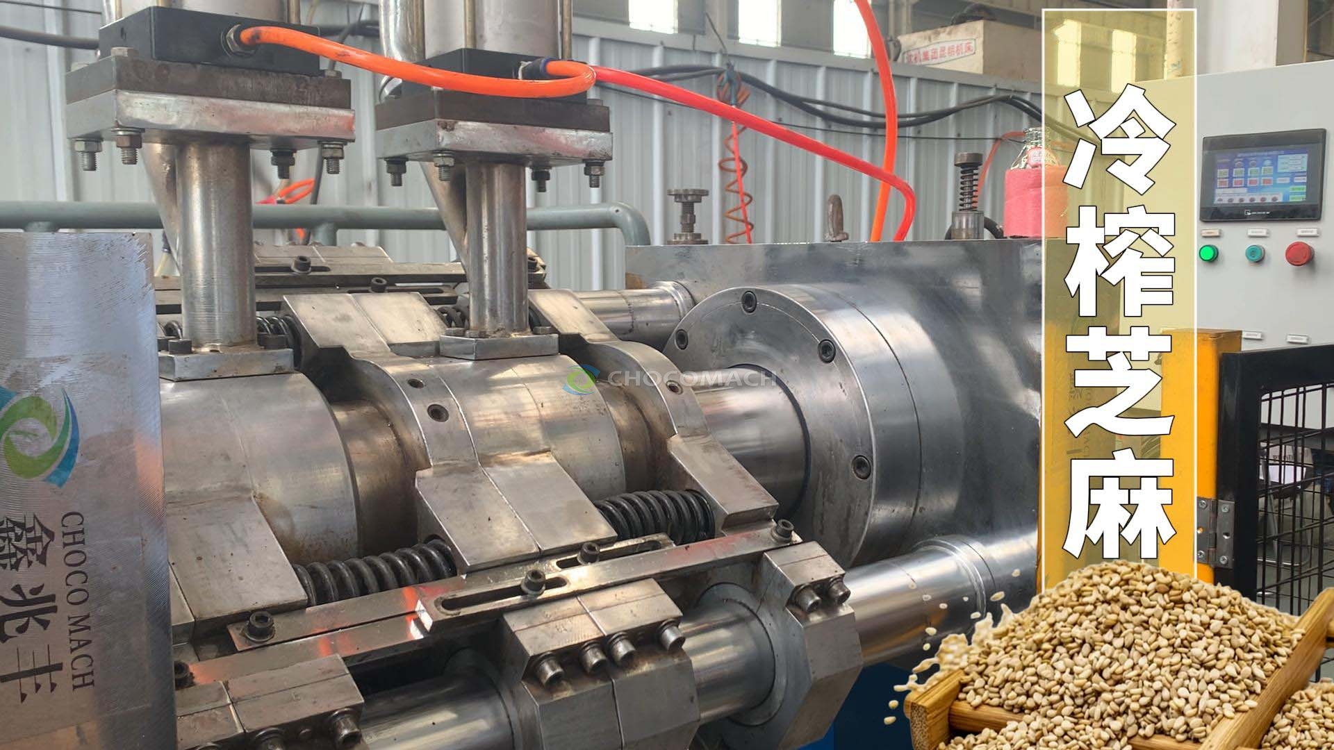 鑫兆豐全自動(dòng)液壓榨油機(jī)冷榨芝麻香油視頻