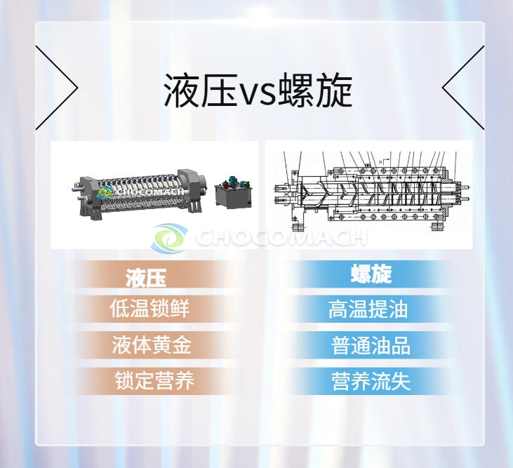 低溫冷榨核桃油：液壓技術(shù)加持下的 “液體黃金”，雙螺旋榨油機難以企及的品質(zhì)巔峰